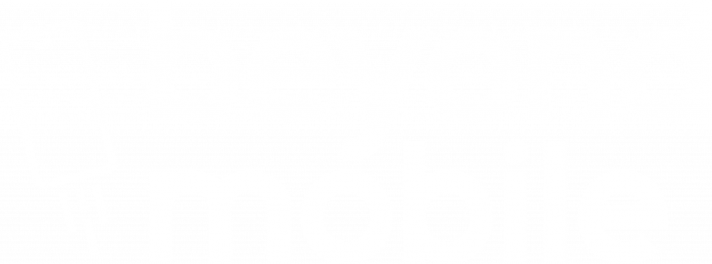 Beyond Mobile Primary Logo - Wht